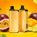 ALIBARBAR INGOT 9000 Puffs Disposable Vape - Image 19